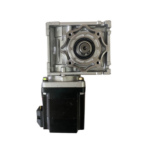 Mataas na Pagganap 200W 300W Brushless DC Worm Gear Motor 